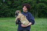 ADULTE ET CHIEN 518